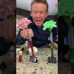 Valentine’s Day Magic, Just In Time…