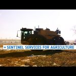 Sentinel services for agriculture