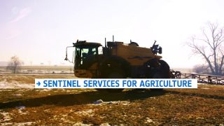 Sentinel services for agriculture