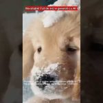 Până unde se poate merge, folosind AI, în procesarea video?!