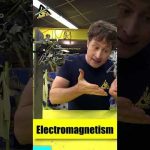 🧲 ELECTROMAGNET HOME EXPERIMENT!