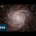 Euclid’s first views of the cosmos