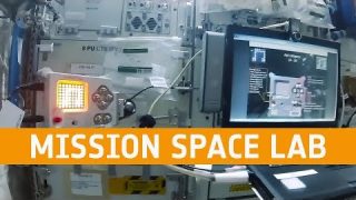 How to come up with an idea for Mission Space Lab