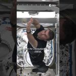 Why do astronauts have to quarantine before flying to space? 😷 #shorts