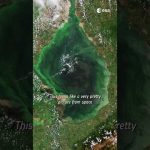 This beautiful image of South America’s largest lake hides a dark secret… 🤫 #shorts