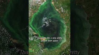 This beautiful image of South America’s largest lake hides a dark secret… 🤫 #shorts