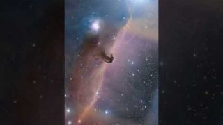 Zoom into the Horsehead Nebula 🔎 #shorts