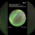 Firefoxes and whale spouts light up Earth’s shield 🌍💚 #shorts