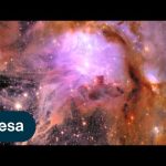 Euclid celebrates first science with sparkling new images