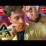 Spook-tacular Eelctrifying Experiments + More Science Experiments  | LIVE | Science Max