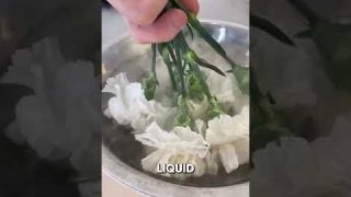 Romantic Liquid Nitrogen Flower Trick