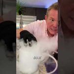 Make Incredible Smoke Bubbles…