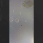 POV: Orion Spacecraft Reentry After Artemis I Mission to the Moon