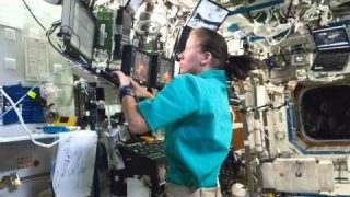 Expedition 24: Life in Space