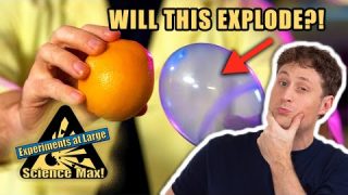 Orange Makes Balloon Explode! | How Is This Possible?! | Acids and Polymers | Science Max