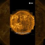 What happens during the Sun’s 11-year cycle? ☀️ #shorts