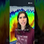 Have you ever seen the inside of a cloud? ☁️ #shorts