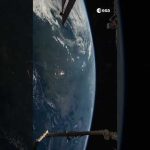 Happy New Year! 🌍