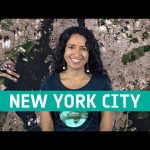 Earth from Space: New York City