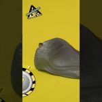 Magnetic Putty | Science Max #shorts #youtubeshorts #Slime