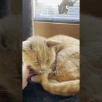 What’s it like to work as an Engineer for the European Space Agency? 👩💻