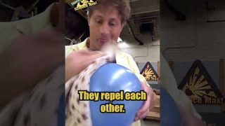 Floating Static Ring Trick with Balloon | Science Max #shorts #youtubeshorts #Slime