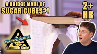 CRAZY EXPERIMENTS | Building a Sugar Cube Bridge | Full Episodes | Science Max