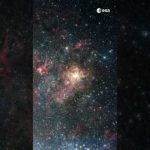 Zoom Into the Tarantula Nebula ✨ #shorts