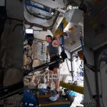 Say hello to ALISSE! 🧑⚕️