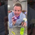 Make A Blacklight Carnation??