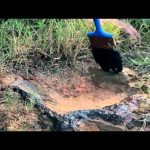 Endeavour Goes Cross-Country on This Week @NASA