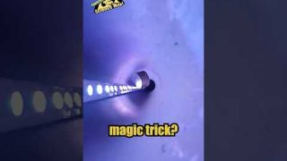 Slowing Gravity with Magnets | Science Max #shorts #youtubeshorts