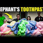 Giant Elephant’s Toothpaste ???