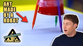 How to Make a Vibrobot | Home Science Experiments | Science Max