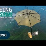 The satellite that sees through forests | Biomass mission
