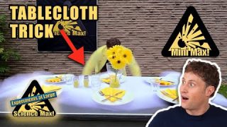 AMAZING Table Cloth Trick | Inertia | Mini Max | Home Science Experiments | Science Max