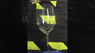 Can Sound Break a Wine Glass? | Resonant Frequency | Vibration | Science Max #shorts
