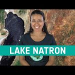 Earth from space: Lake Natron