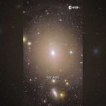 Euclid discovers a stunning Einstein ring 🤩