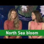 Earth from Space: North Sea bloom