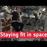 Space medicine: staying fit in space
