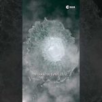 New study shows Nord Stream leak was much bigger than expected! 📈