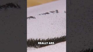 What’s Under The Paper?
