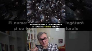Teoria lui Smolin