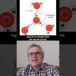 Un succes al cercetării din România!