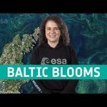 Earth from space: Gotland Baltic Blooms