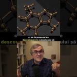 Bacterii care mănâncă plastic; UBB Cluj